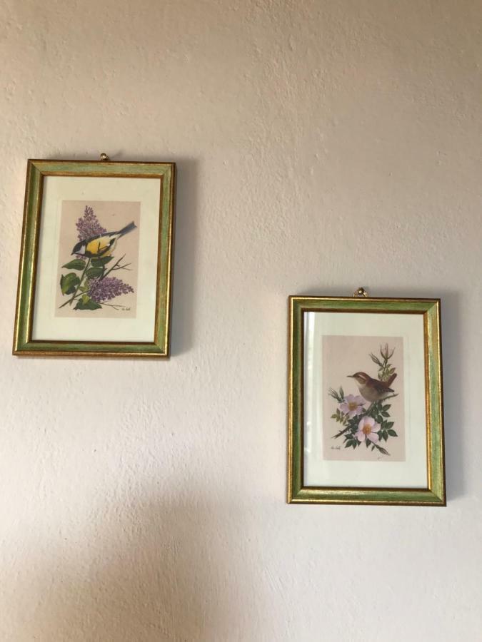 Il Giuggiolo Apartment Montalcino Luaran gambar